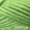 Joe's Toes chunky Pure wool yarn in green