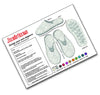 Design Your Own Slippers!  DIY Kits for youths and children